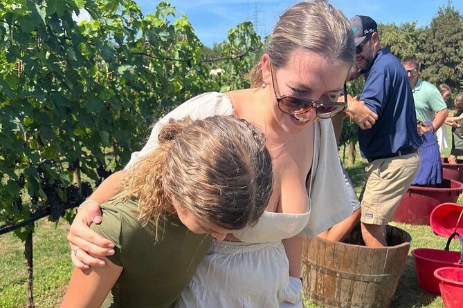 San Gimignano Wine Tour and tuscan appetizer for small group - Key Points