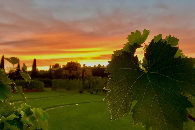San Gimignano Wine Tour and tuscan appetizer for small group - Who Should Book This Wine and Olive Oil Tasting