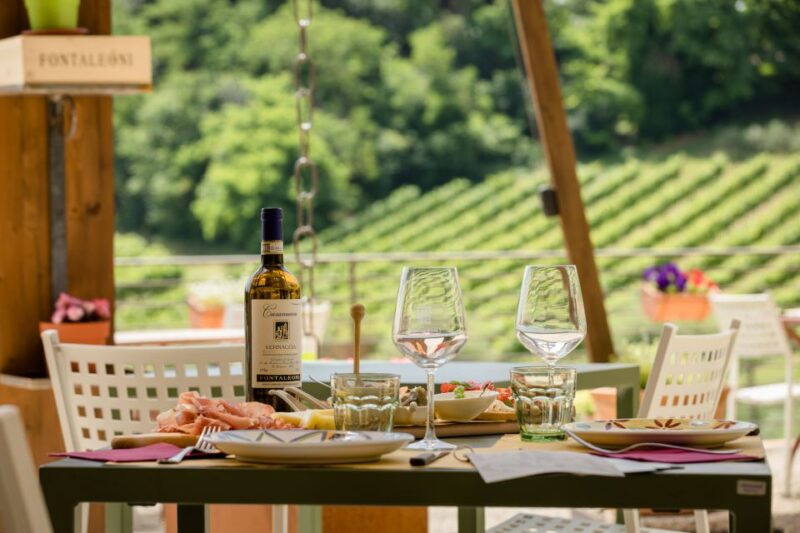 San Gimignano: Winery Tour with Wine Tasting and Lunch - Discover the Family-Run Winery Near San Gimignano