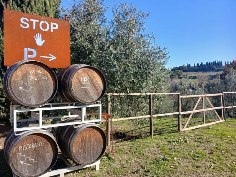 San Gimignano: Winery Visit with Picnic in Olive Grove - A Memorable, Authentic Tuscan Experience in an Olive Grove
