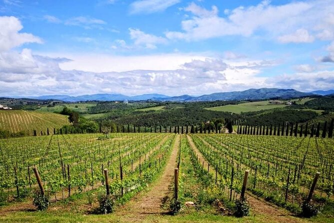 San Gimignano with lunch and wine tasting on a local winery - Private Tour Logistics and Pickup Service