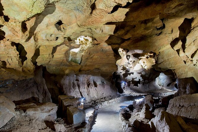 San Jose Caves Guided Tour from Valencia - Safety Measures and Tour Limitations