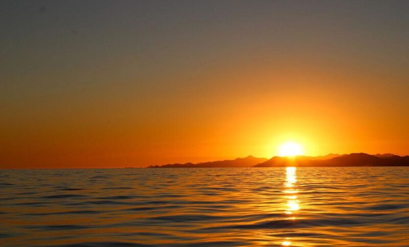 San Jose del Cabo private Sunset cruise - The Starting Point at Callejon Pez Sierra 5