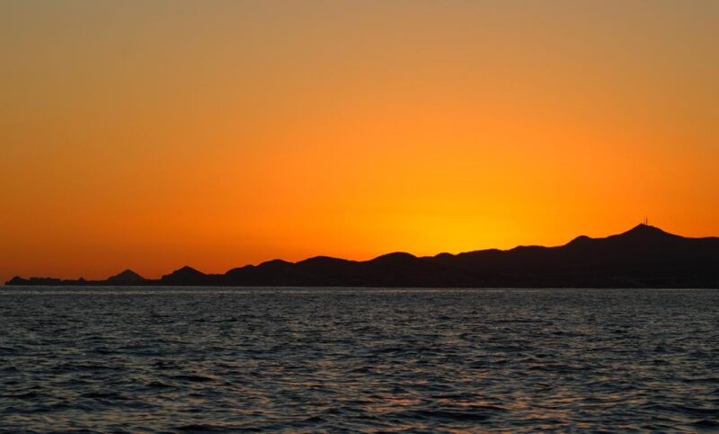 San Jose del Cabo Sunset Whale Watching - The Itinerary and What To Expect