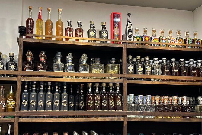 San Jose del Cabo- Tequila, Mezcal & Mixology Class - Key Points