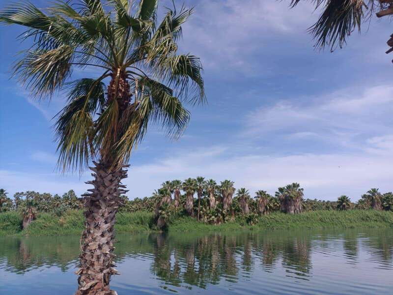 SAN JOSE GOLDEN - Key Points