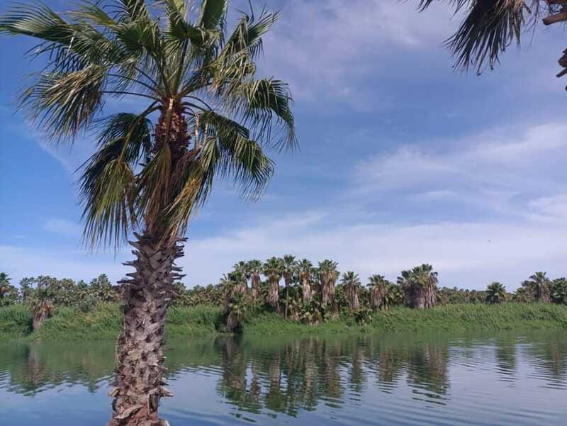 SAN JOSE GOLDEN - The Value of the SAN JOSE GOLDEN Tour