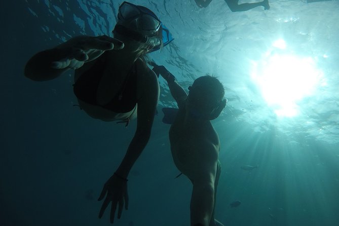 San Jose Wonders - Local Flora, Fauna, and Nature Walks