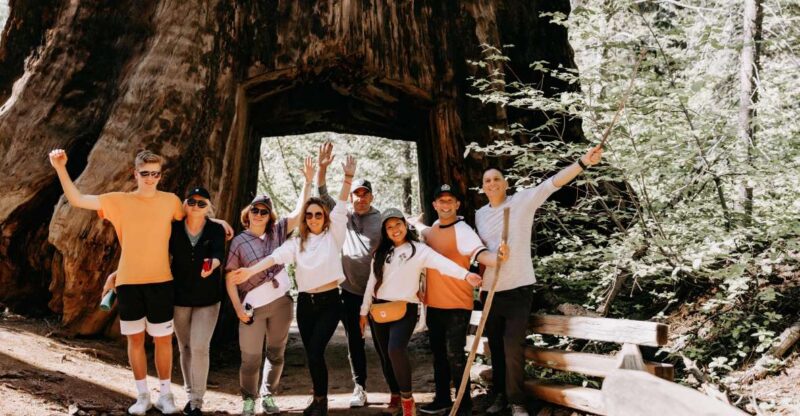 San Jose: Yosemite National Park and Giant Sequoias Trip - Experience the Majesty of Yosemite in a Day from San Jose