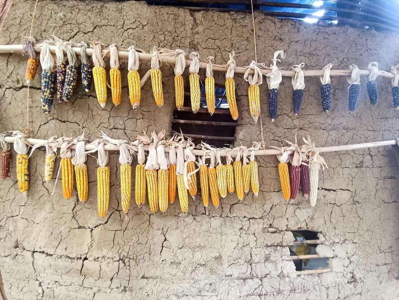 San Juan Chamula & Zinacantan Indigenous Villages Tour - Visiting Artisan Markets and Local Crafts