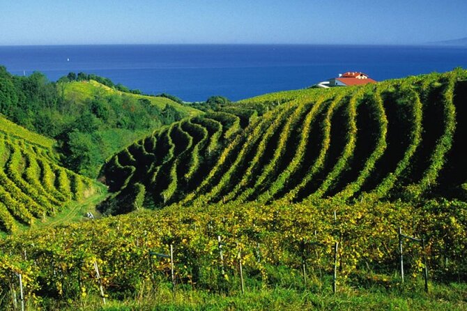 San Juan de Gaztelugatxe with Winery Visit and Lunch (From Bilbao) - Exploring San Juan de Gaztelugatxe: Iconic Location and Scenic Views