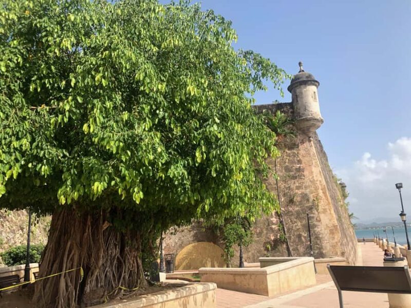 San Juan: Old San Juan Guided Walking Tour - Hidden Gems in Cobblestone Streets