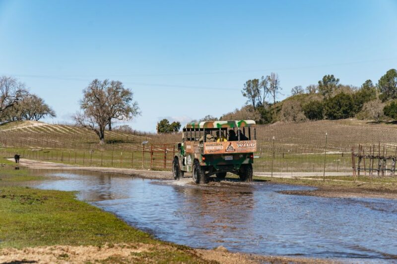 San Luis Obispo: Santa Lucia Guided Nature Tour - Final Thoughts on the Santa Lucia Guided Nature Tour