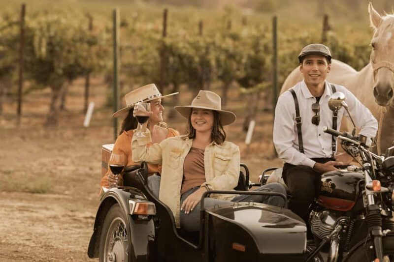 San Luis Obispo: Vineyard Rides Wine Adventure - Practical Details: Meeting, Safety, and Group Size
