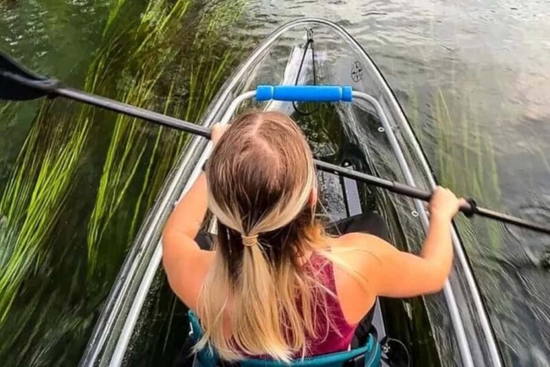 San Marcos: Clear Kayak Eco Tour on Spring-Fed River - What Equipment is Included in the Tour?