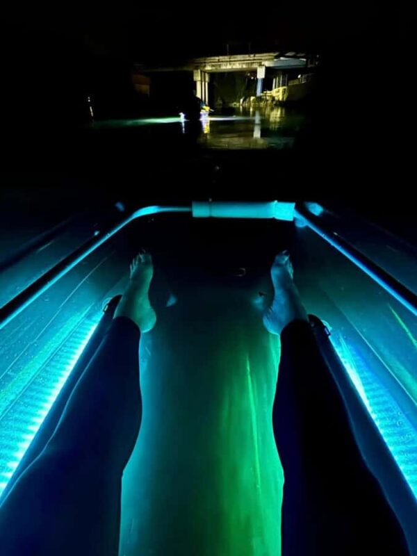 San Marcos: Clear Kayak Eco Tour on Spring-Fed River - Group Size and Guide Expertise