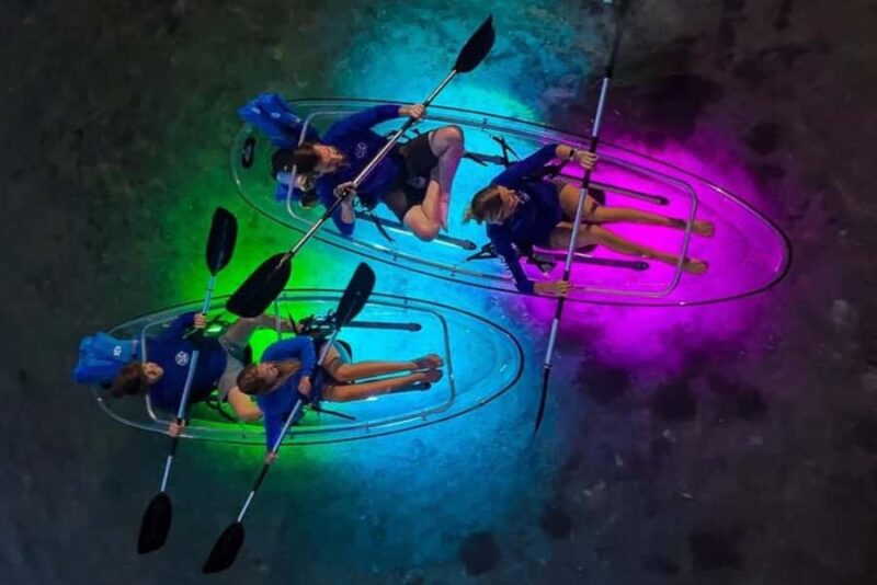 San Marcos: Sunset Clear Kayak Eco Tour with Glow Lights - Wildlife and Ecosystem Insights from Your Guide