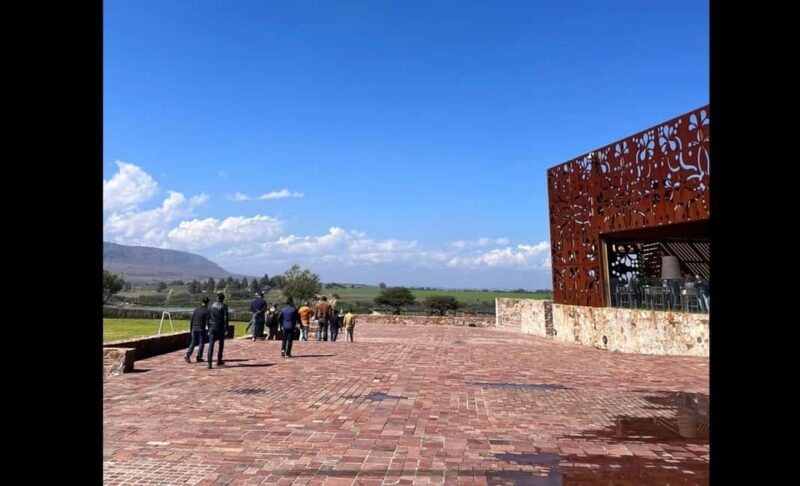 San Miguel Allende: Guanajuato Wine Route vineyard tour - Explore Guanajuato’s High-Quality Wines for $125 per Person