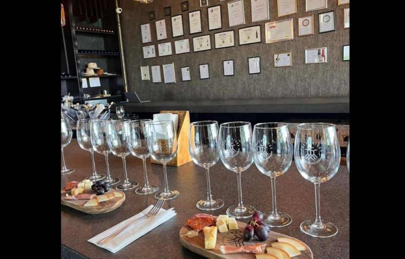 San Miguel Allende: Guanajuato Wine Route vineyard tour - Key Points