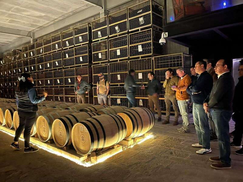 San Miguel Allende: Guanajuato Wine Route vineyard tour - The Scenic Landscape and Photo Opportunities