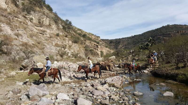 San Miguel Allende: Half-Day Horseback Riding Adventure - Key Points