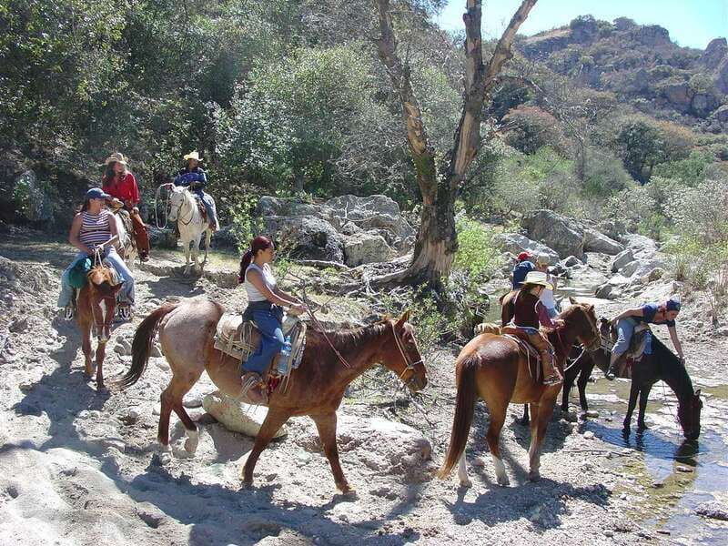 San Miguel Allende: Half-Day Horseback Riding Adventure - Authentic Ranch-Style Meal to End the Day