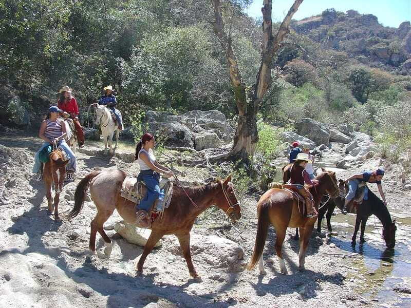 San Miguel Allende: Half-Day Horseback Riding Adventure - Physical Requirements and Safety Precautions