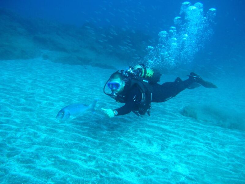 San Miguel de Abona: 2Dive Package - The Value of the San Miguel de Abona 2Dive Package