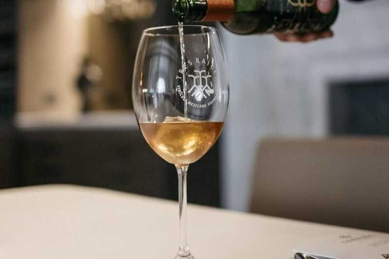 San Miguel de Allende: 7-Course Luxury Menu & Wine Pairing - The Experience’s Strengths and Limitations