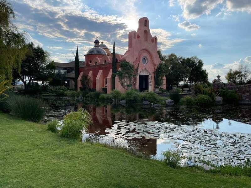 San Miguel de Allende: A Journey Through Vineyards - The Guided Wine Tasting Experience
