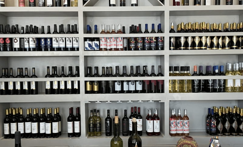 San Miguel de Allende: A Journey Through Vineyards - Practical Details of the Tour