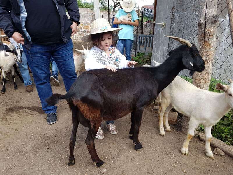 San Miguel de Allende: Full-Day Ranch Adventure - An Overview of the Tours Logistics and Inclusions