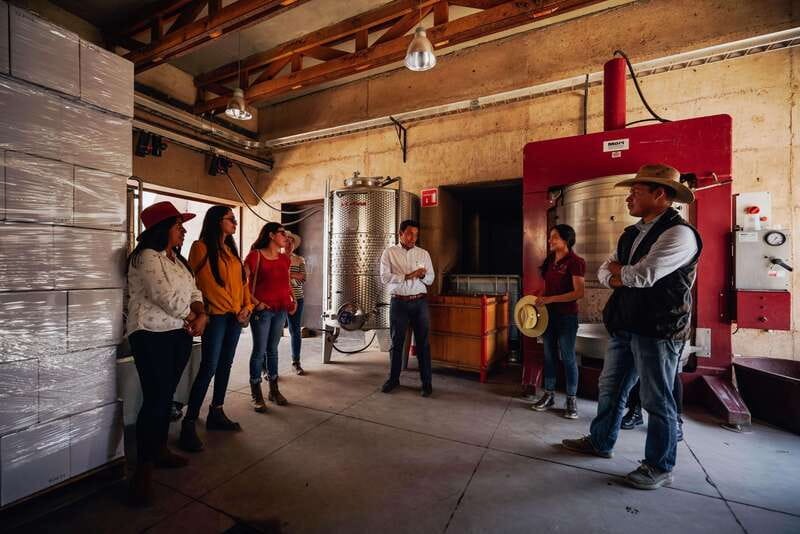San Miguel de Allende: Independence Valley Wine Route - Food and Drink Pairings During the Tour