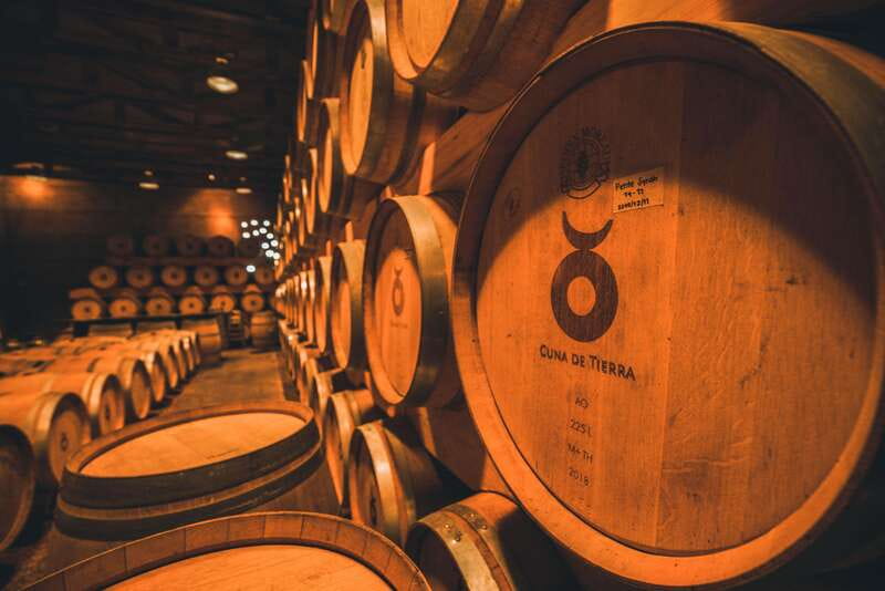 San Miguel de Allende: Independence Valley Wine Route - Tour Timing, Pacing, and Accessibility