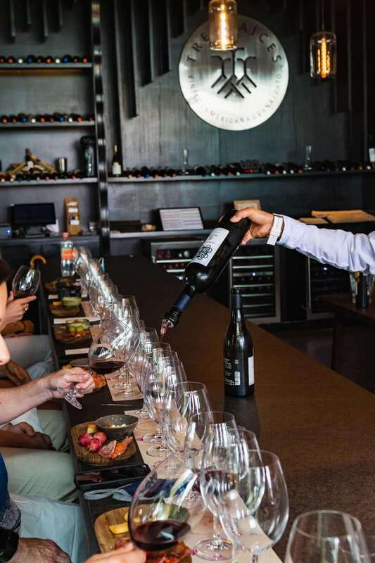 San Miguel de Allende: Local Vineyard Tour & Wine Tasting - Walking Through the Vineyard During Green Seasons