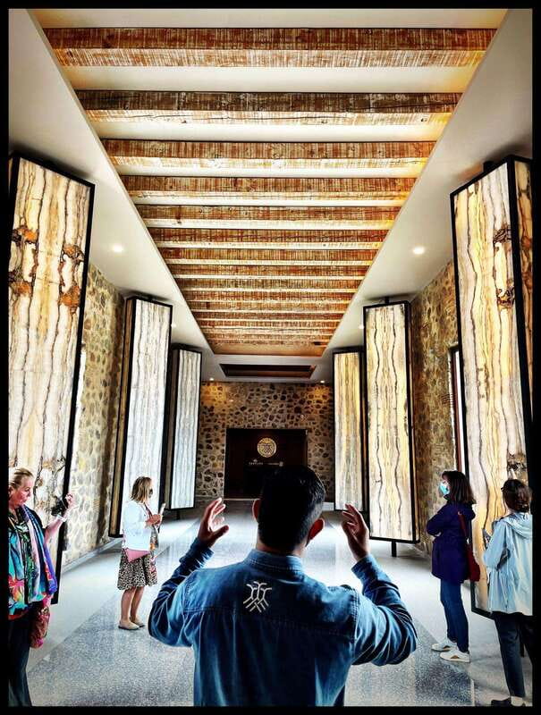 San Miguel de Allende: Local Vineyard Tour & Wine Tasting - Wine Tasting Options and Pairings