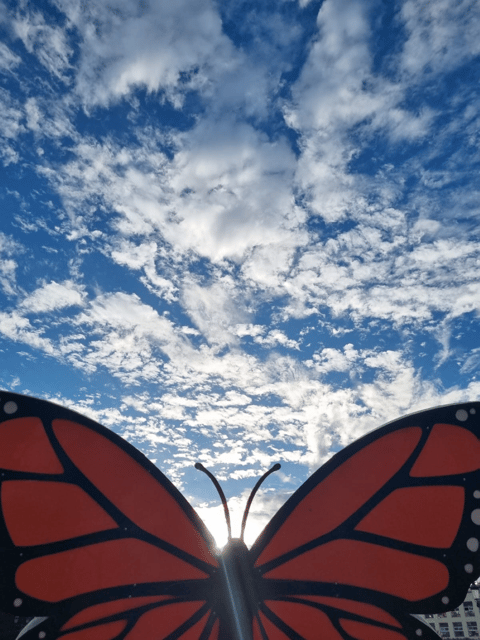 San Miguel de Allende: Monarch Butterflies Tour - Comparing This Tour to Other Butterfly Experiences