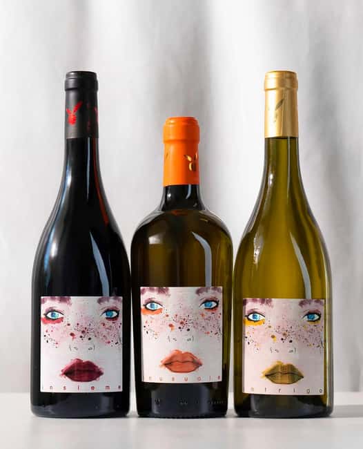 San Miniato: Organic Wine Tasting Experience in Tuscany Pisa - Discover the Flavors of Tuscany at Inserrata Winery in San Miniato