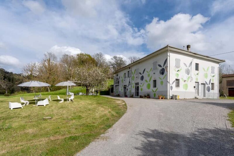 San Miniato: Organic Wine Tasting Experience in Tuscany Pisa - The Guided Tour at Inserrata Winery