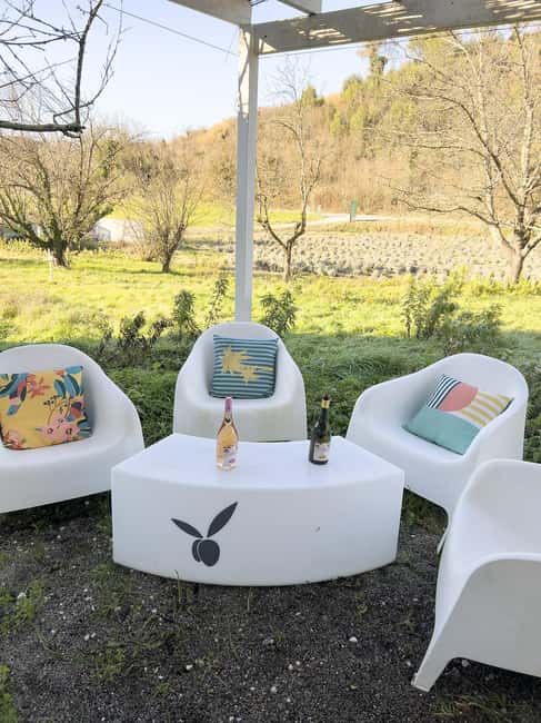 San Miniato: Organic Wine Tasting Experience in Tuscany Pisa - Practical Details and Participant Tips