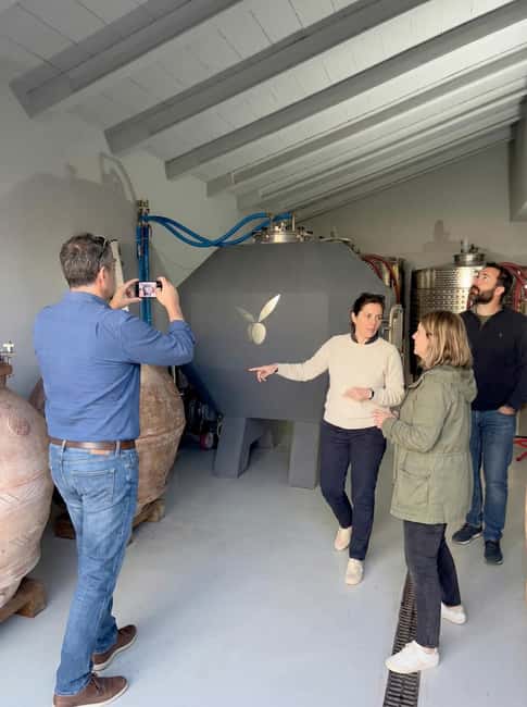 San Miniato: Organic Wine Tasting Experience in Tuscany Pisa - What Sets This Tour Apart from Other Tuscany Experiences