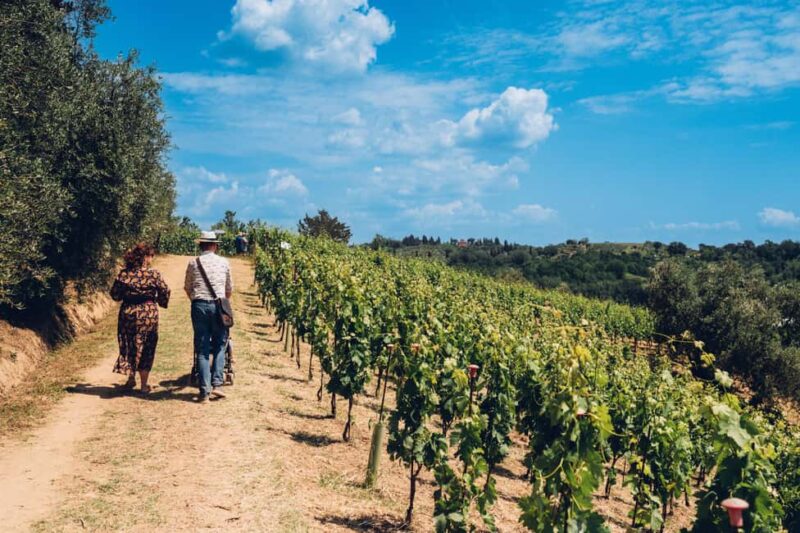 San Miniato: Wine Tour in a Family-Run Tuscan Winery - Key Points