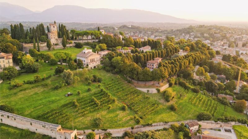 San Pietro di Feletto: Vineyard Tour with Cellar Visit - Tasting Regional Wines and Local Food Pairings