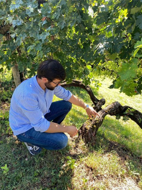 San Pietro di Feletto: Vineyard Tour with Cellar Visit - Who Would Enjoy This Experience Most