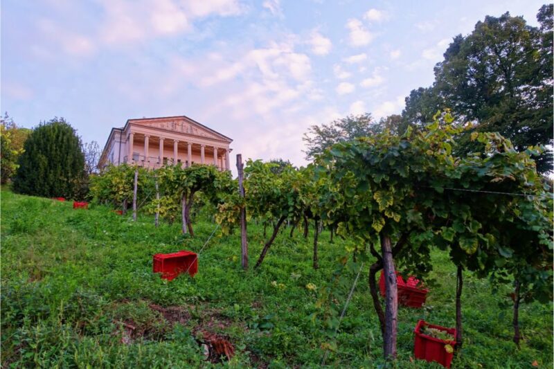 San Pietro di Feletto: Vineyard Tour with Cellar Visit - The Sum Up: Authenticity and Scenic Beauty in Veneto