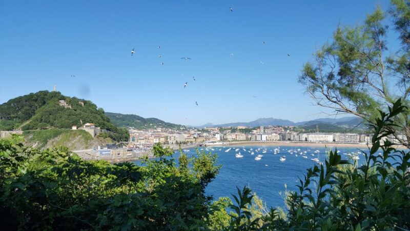 San Sebastian: Boat Tour with Stop at Santa Clara - A Tour with Notable Reviews and Reliable Service