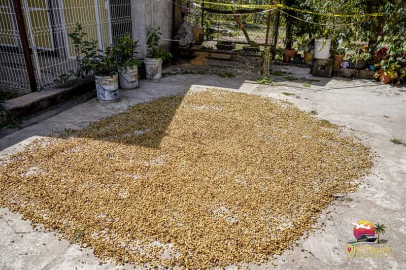 San Sebastian Del Oeste: Private Trip from Puerto Vallarta - Visiting Hacienda Don Lalin: Coffee and Spirits