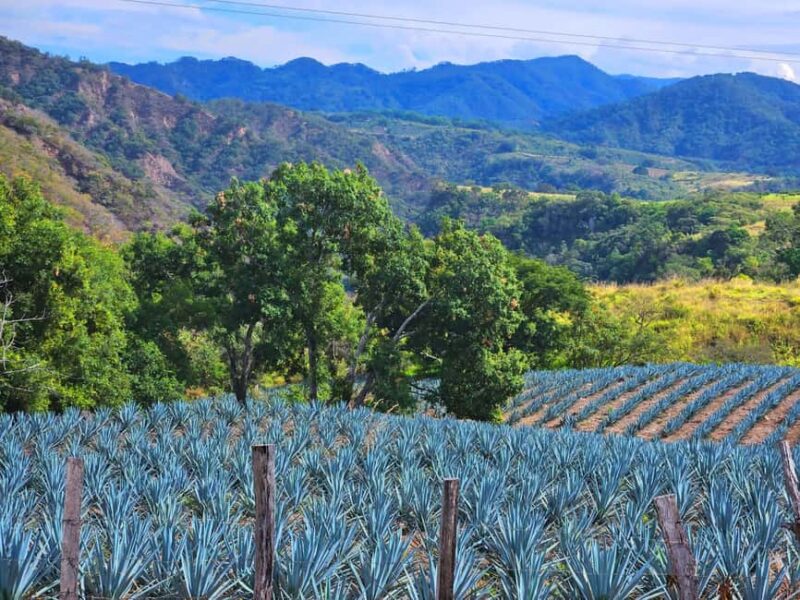 San Sebastian del Oeste: Tequila Tasting and Coffee Tour - Scenic Drive and Photo Stops