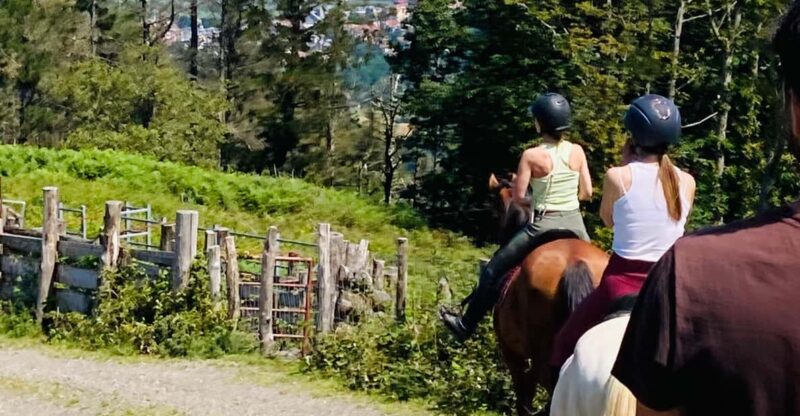 San Sebastian: Horseback Riding & Traditional Delights - Expert Guide Hector and His Local Knowledge