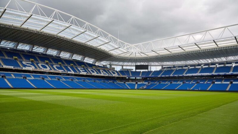 San Sebastian: Real Sociedad Stadium Guided Interactive - The Guide’s Role and Language Options